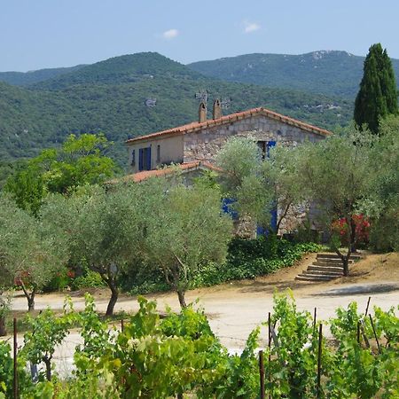 Casa Erbaggio Apartment Sartene  Luaran gambar