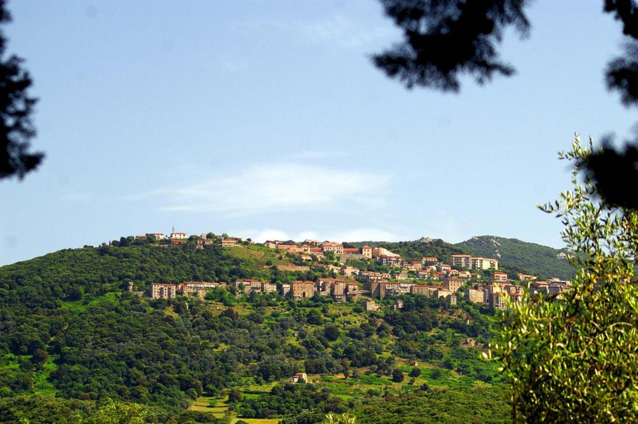 Casa Erbaggio Apartment Sartene  Luaran gambar